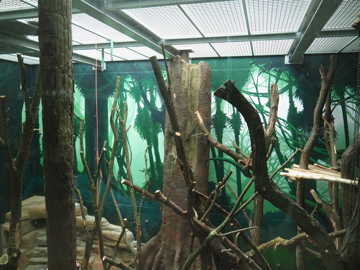 Members' preview of the new bonobo house - First indoor exhibit, 2019-06-26