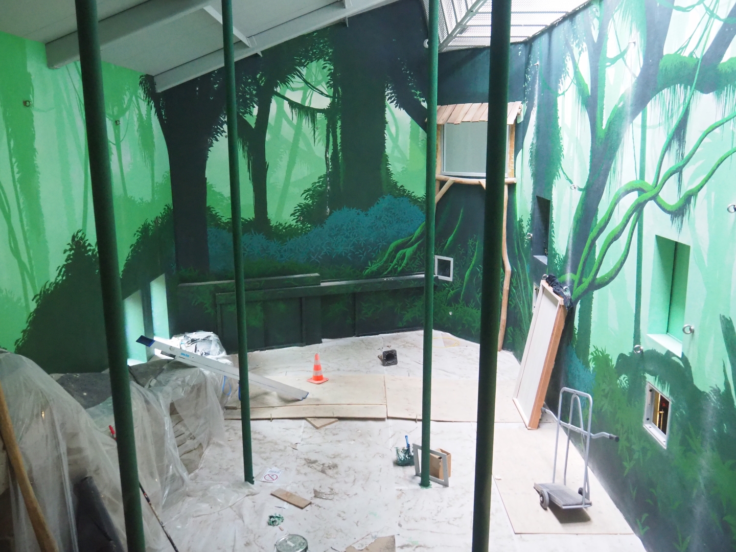 Members' preview of the new bonobo house - Fourth indoor exhibit, 2019-06-26