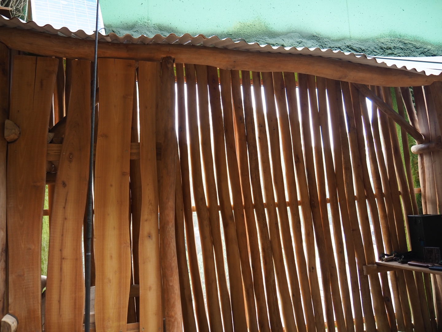 Members' preview of the new bonobo house - Future ranger camp, 2019-06-26