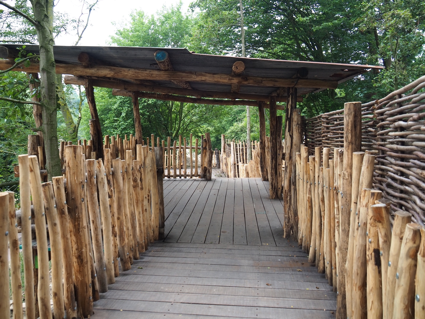 Members' preview of the new bonobo house - New outdoor viewing area, 2019-06-26