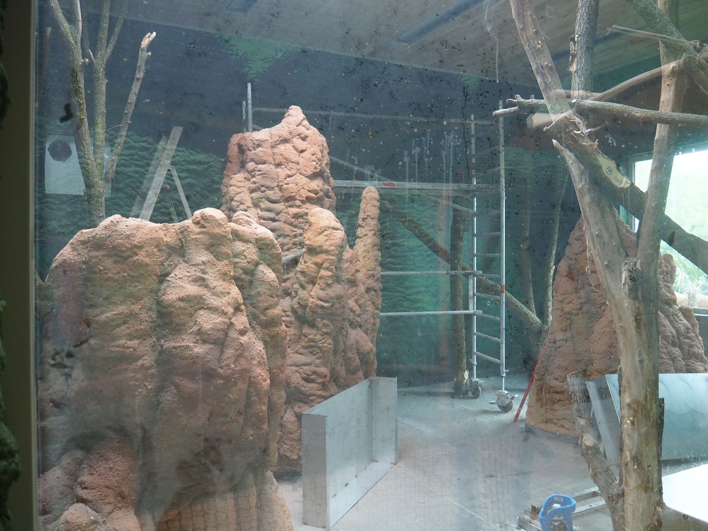 Members' preview of the new bonobo house - Second indoor exhibit, 2019-06-26