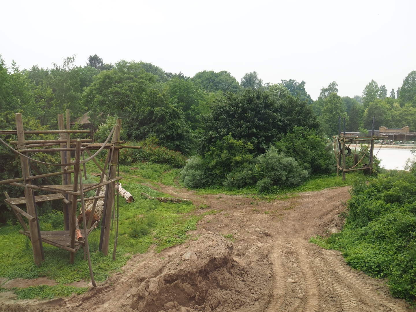 Members' preview of the new bonobo house - View onto the island, 2019-06-26