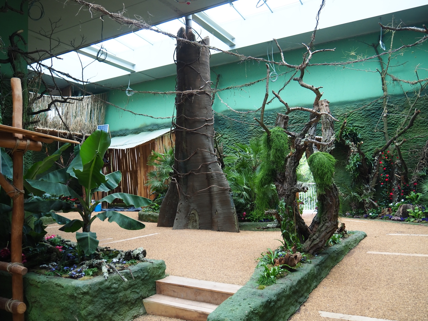 Members' preview of the new bonobo house - Visitor area, 2019-06-26