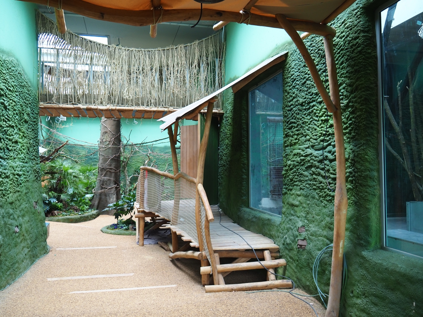 Members' preview of the new bonobo house - Visitor area, 2019-06-26