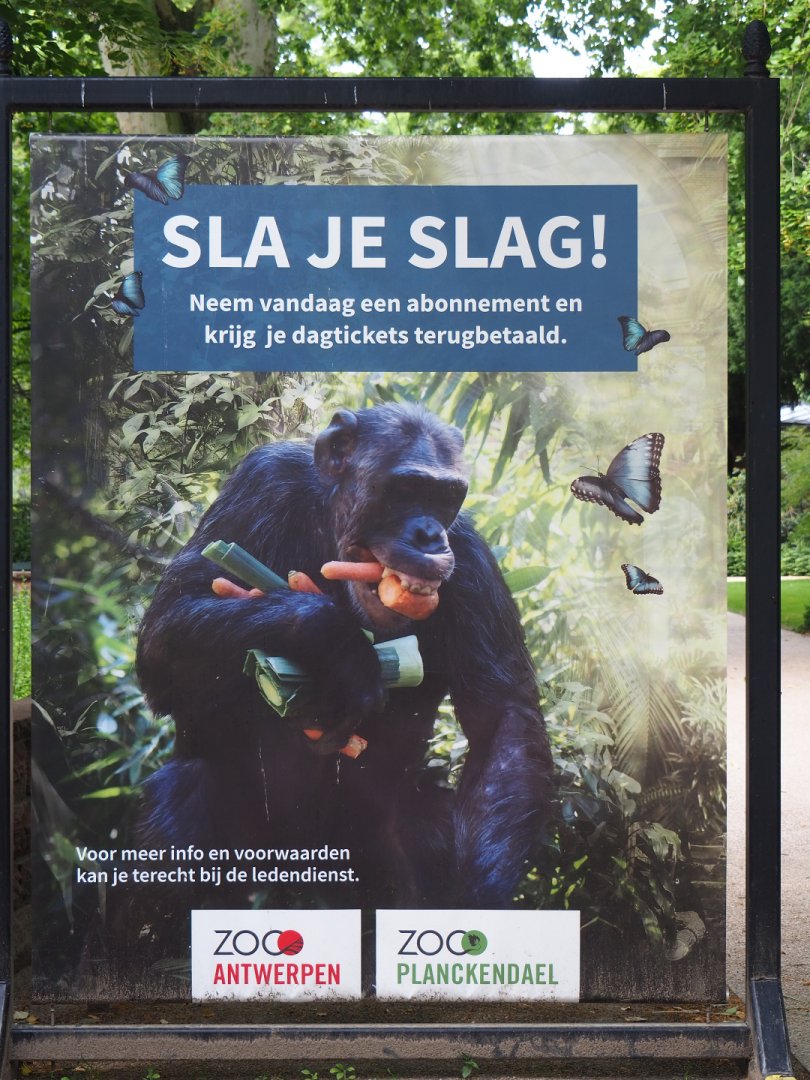 Membership promotion sign, 2020-06-28