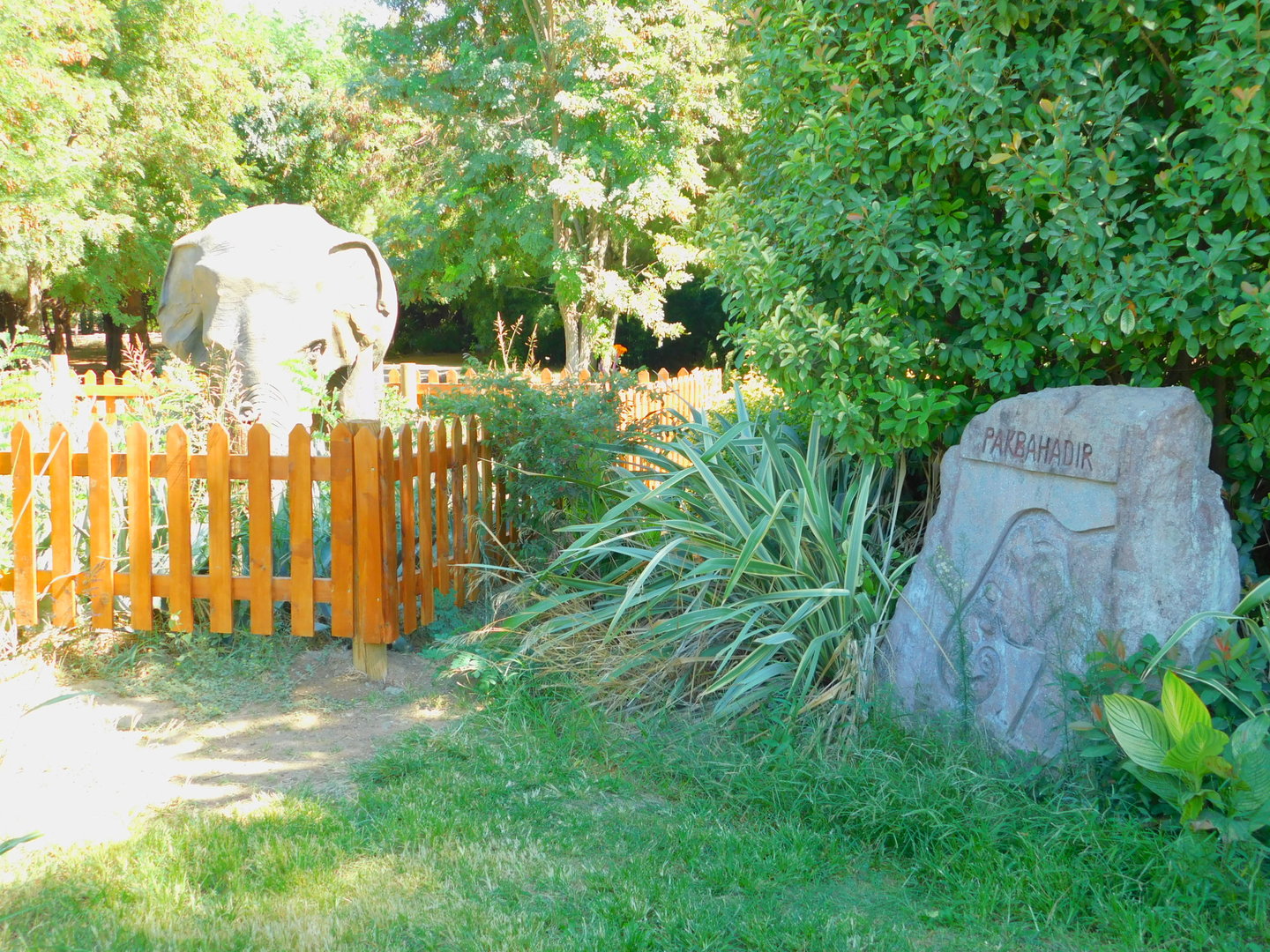 Memorial for PAk Bahadır