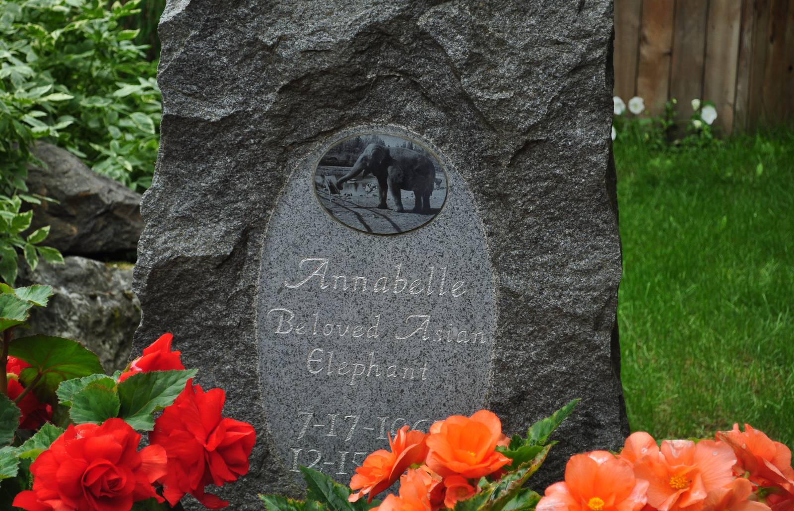 Memorial Marker for Annabelle (summer view)