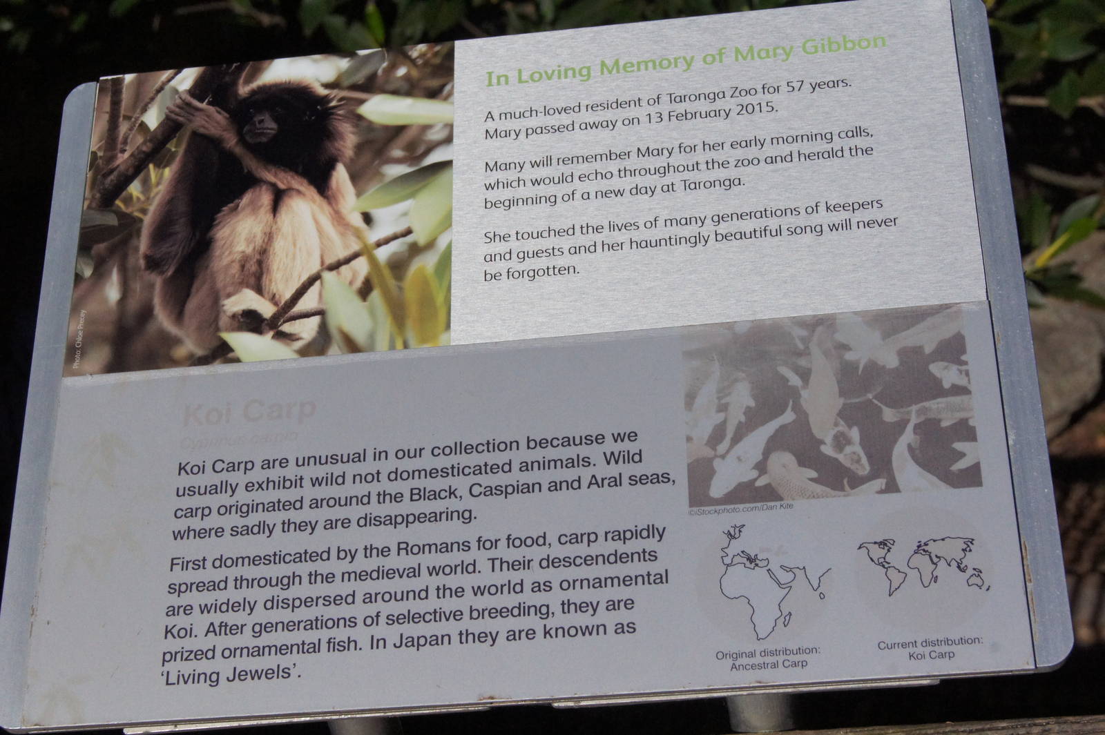 Memorial plaque for Mary