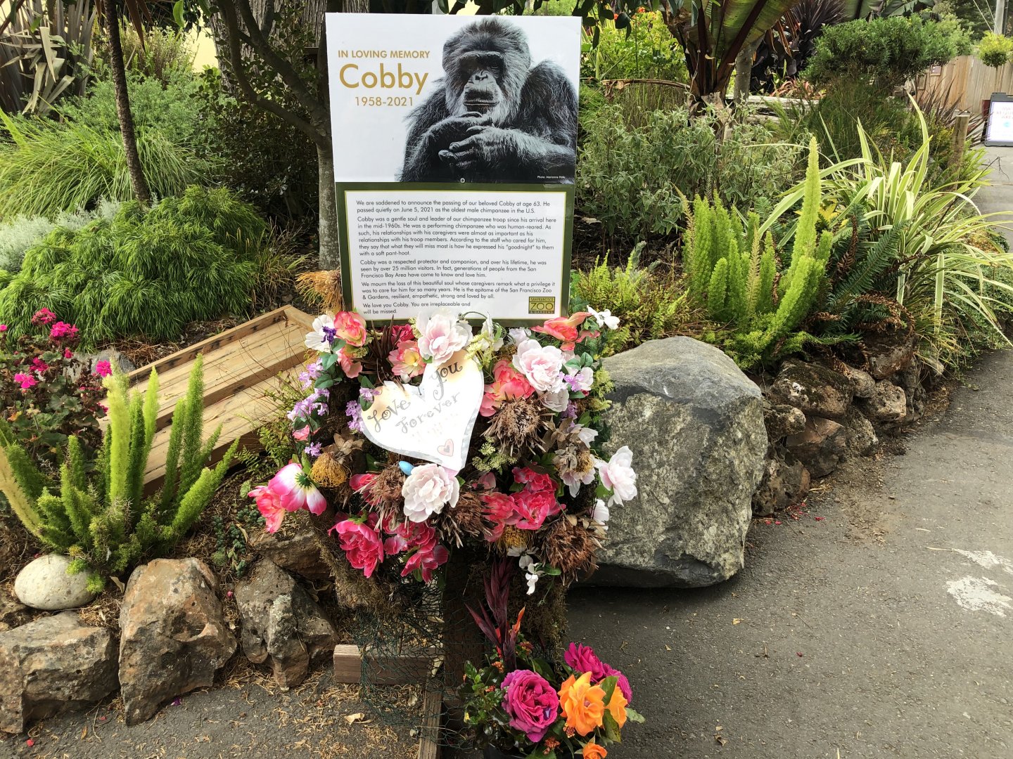 Memorial to Cobby the chimp