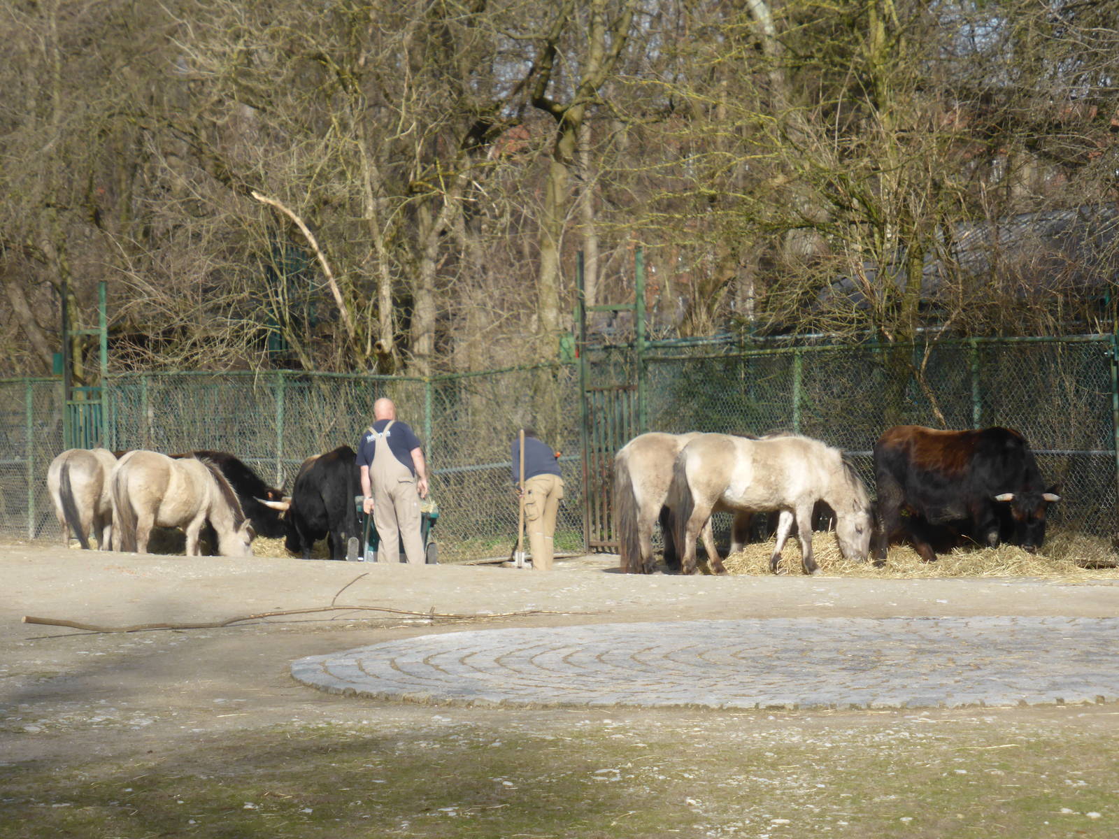 Memories of Heinz Heck