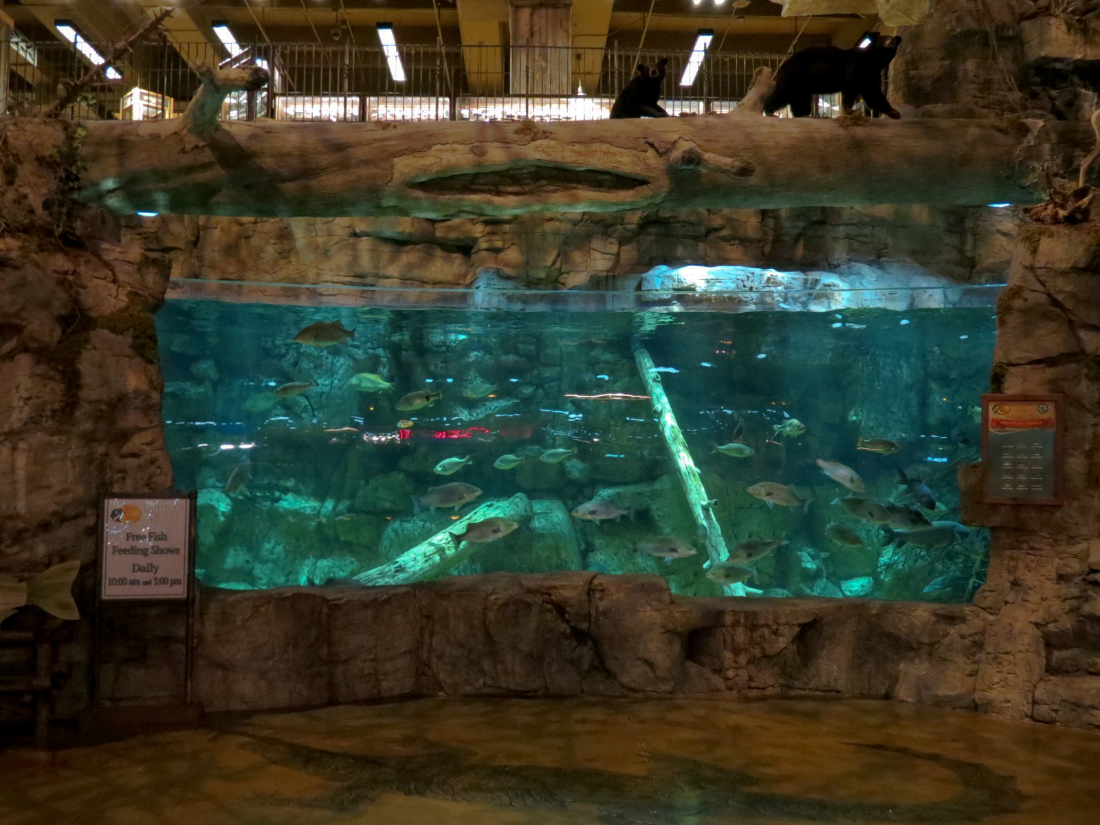 Memphis Bass Pro Shop - Native Fish Exhibit with Underwater Viewing Panel