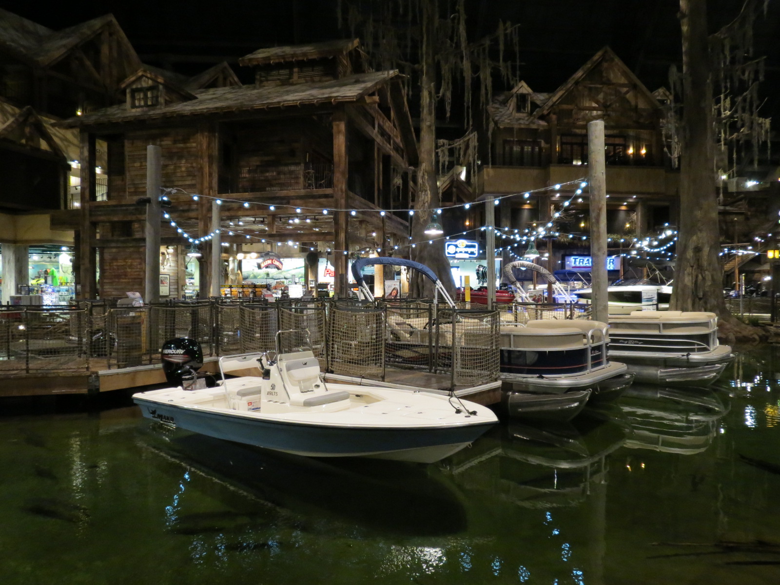 Memphis Bass Pro Shop - Native Fish Pond