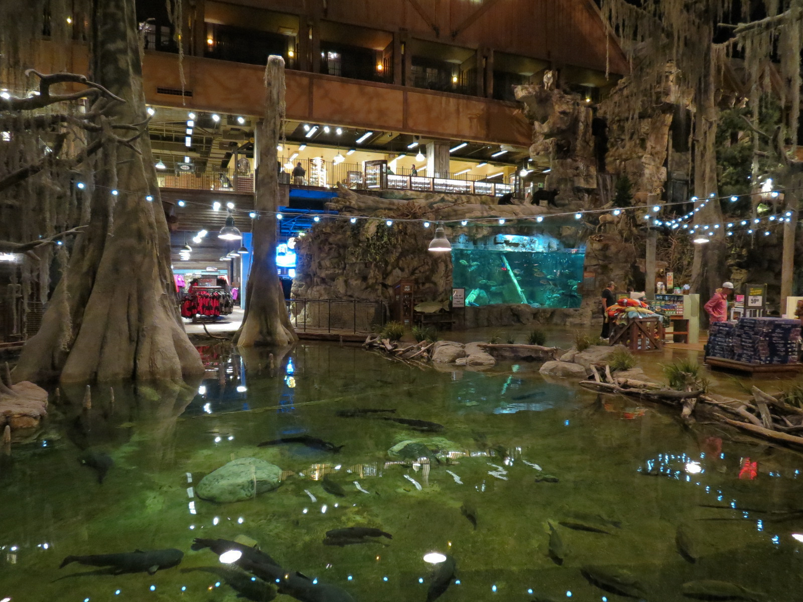 Memphis Bass Pro Shop - Native Fish Pond
