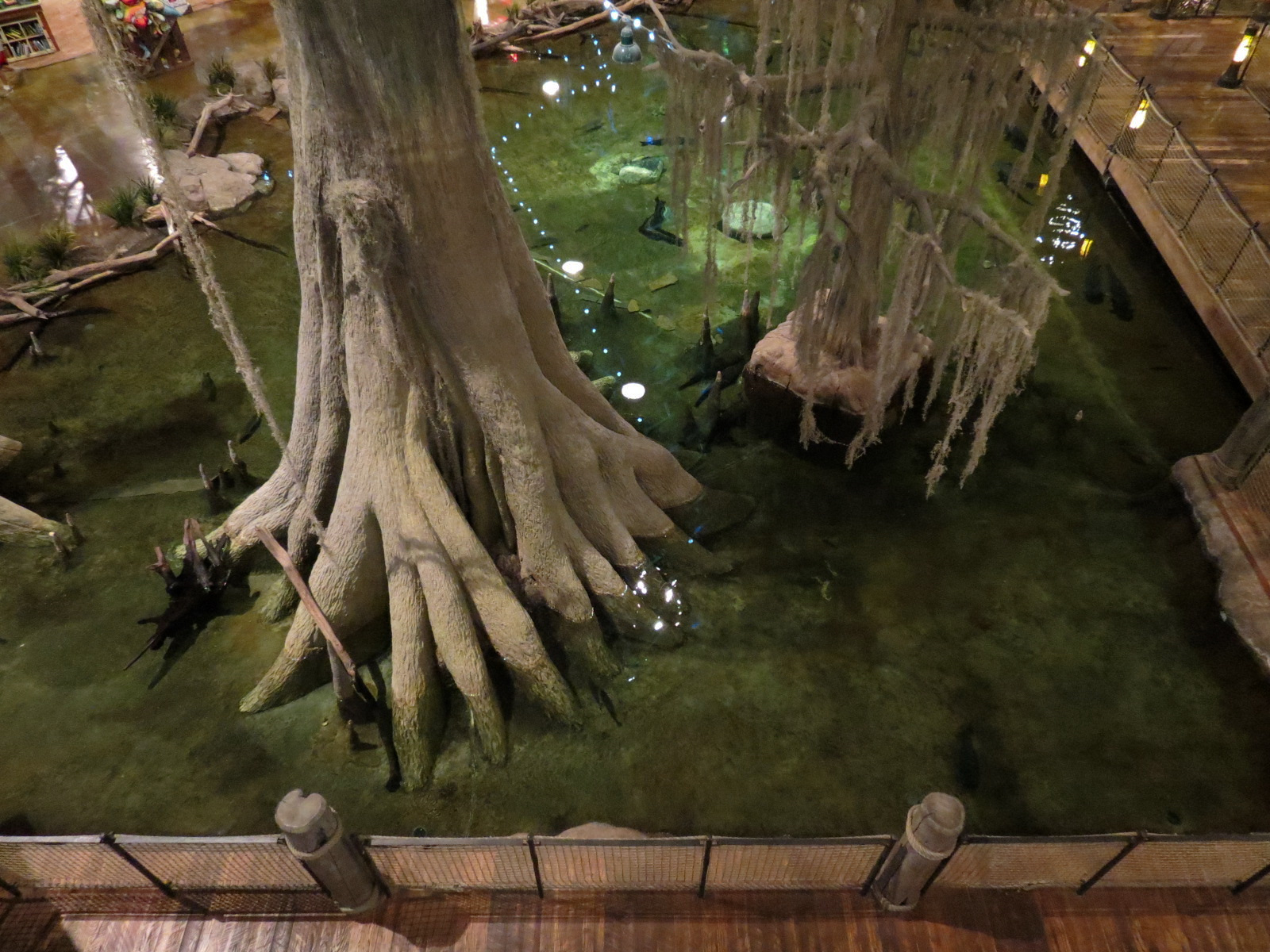 Memphis Bass Pro Shop - Native Fish Pond