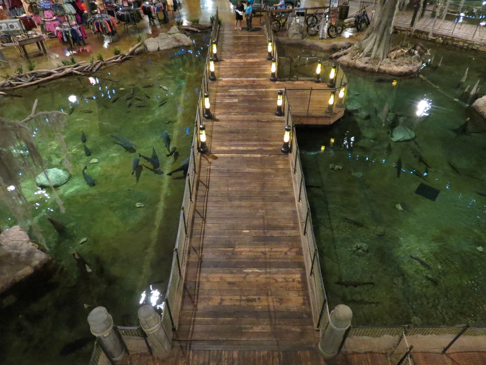 Memphis Bass Pro Shop - Native Fish Pond