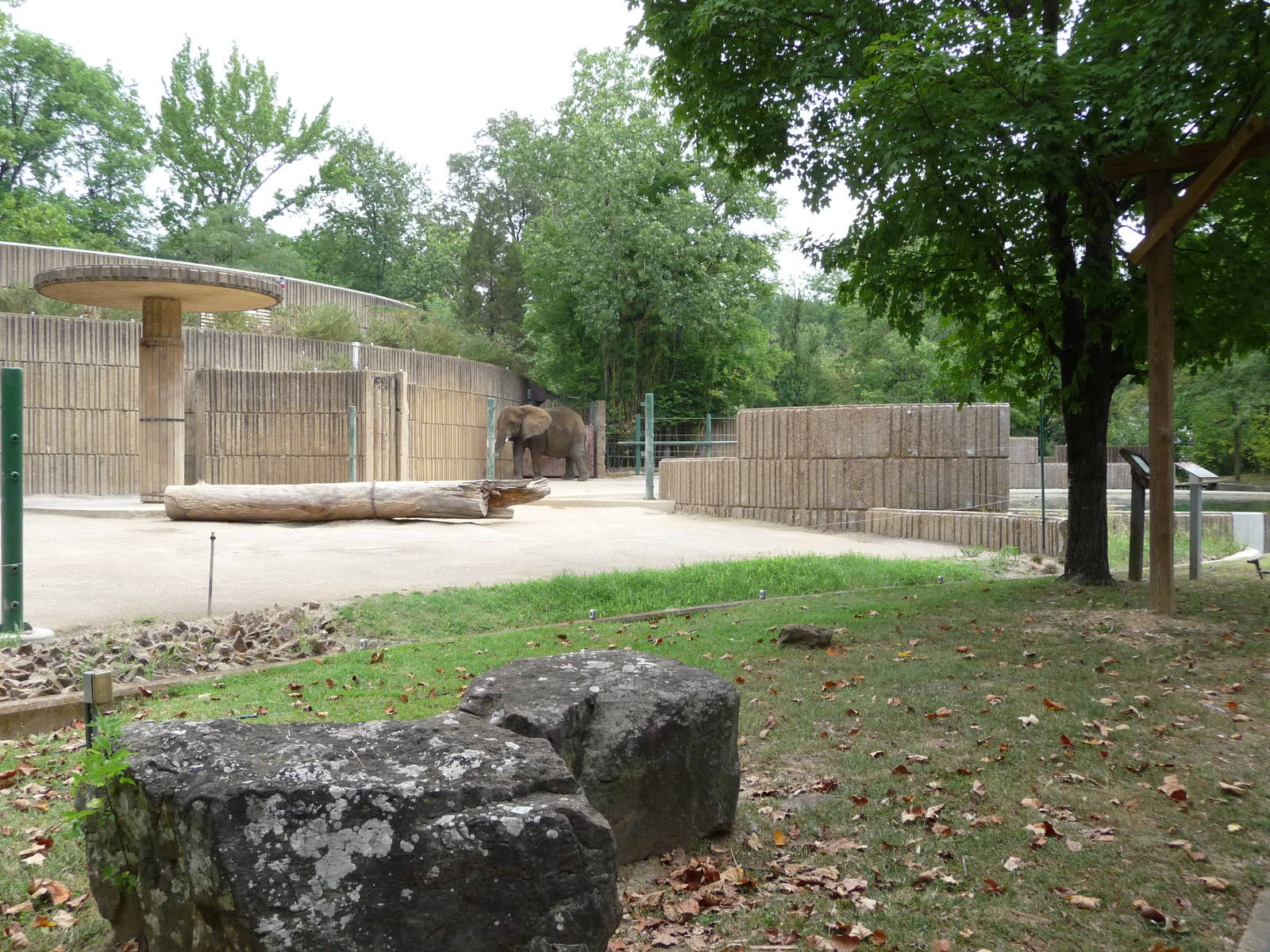 Memphis Zoo - African Elephant Paddock