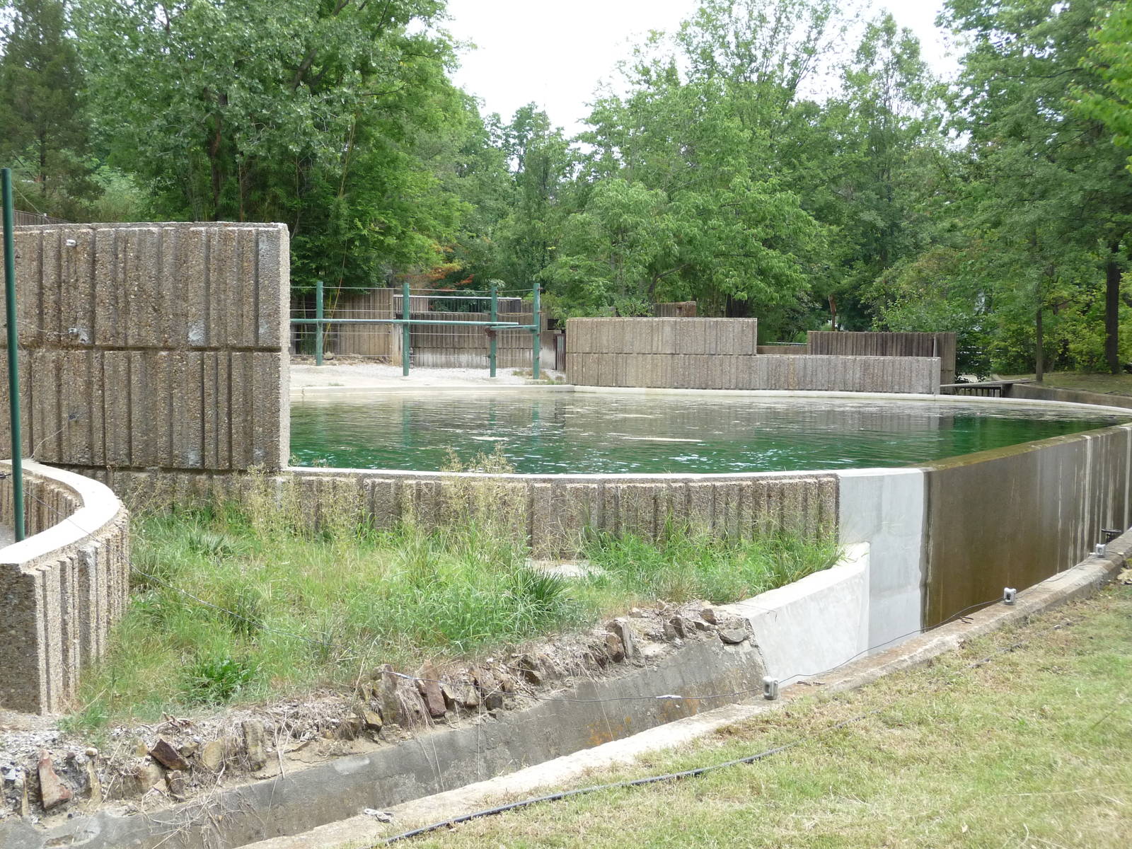 Memphis Zoo - African Elephant Pool