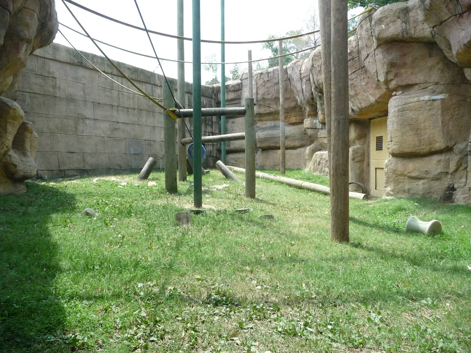 Memphis Zoo -  Bonobo Outdoor Exhibit