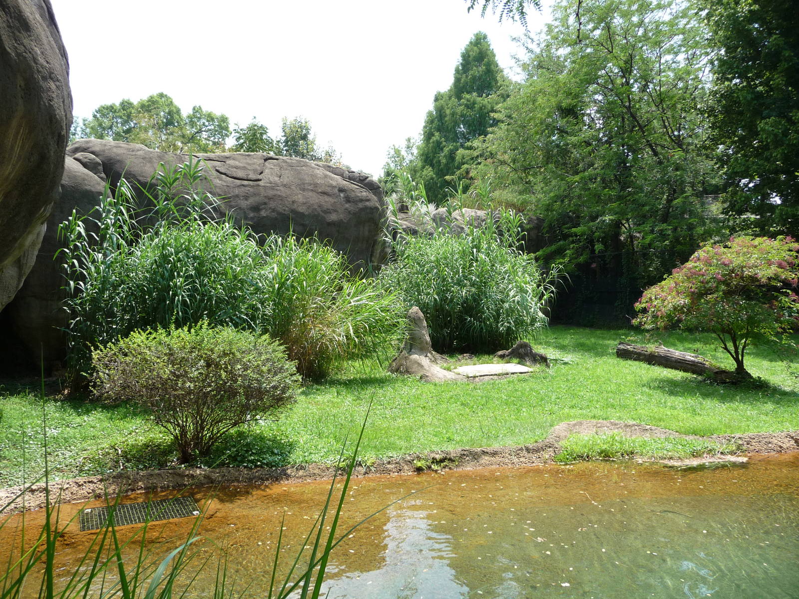 Memphis Zoo -  Cheetah Exhibit