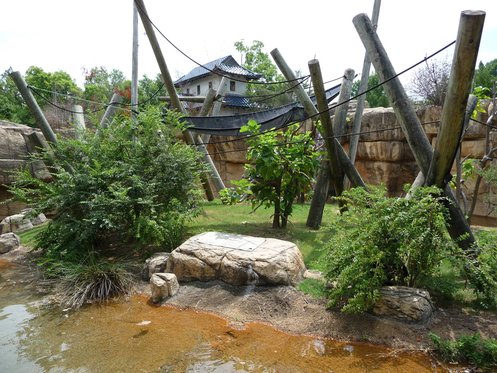 Memphis Zoo -  Colobus Monkey Exhibit