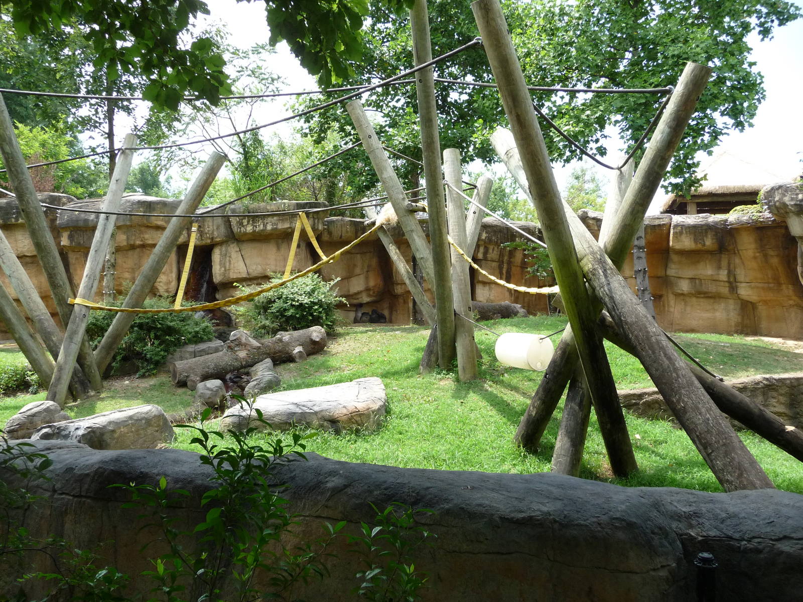 Memphis Zoo - Gorilla Exhibit