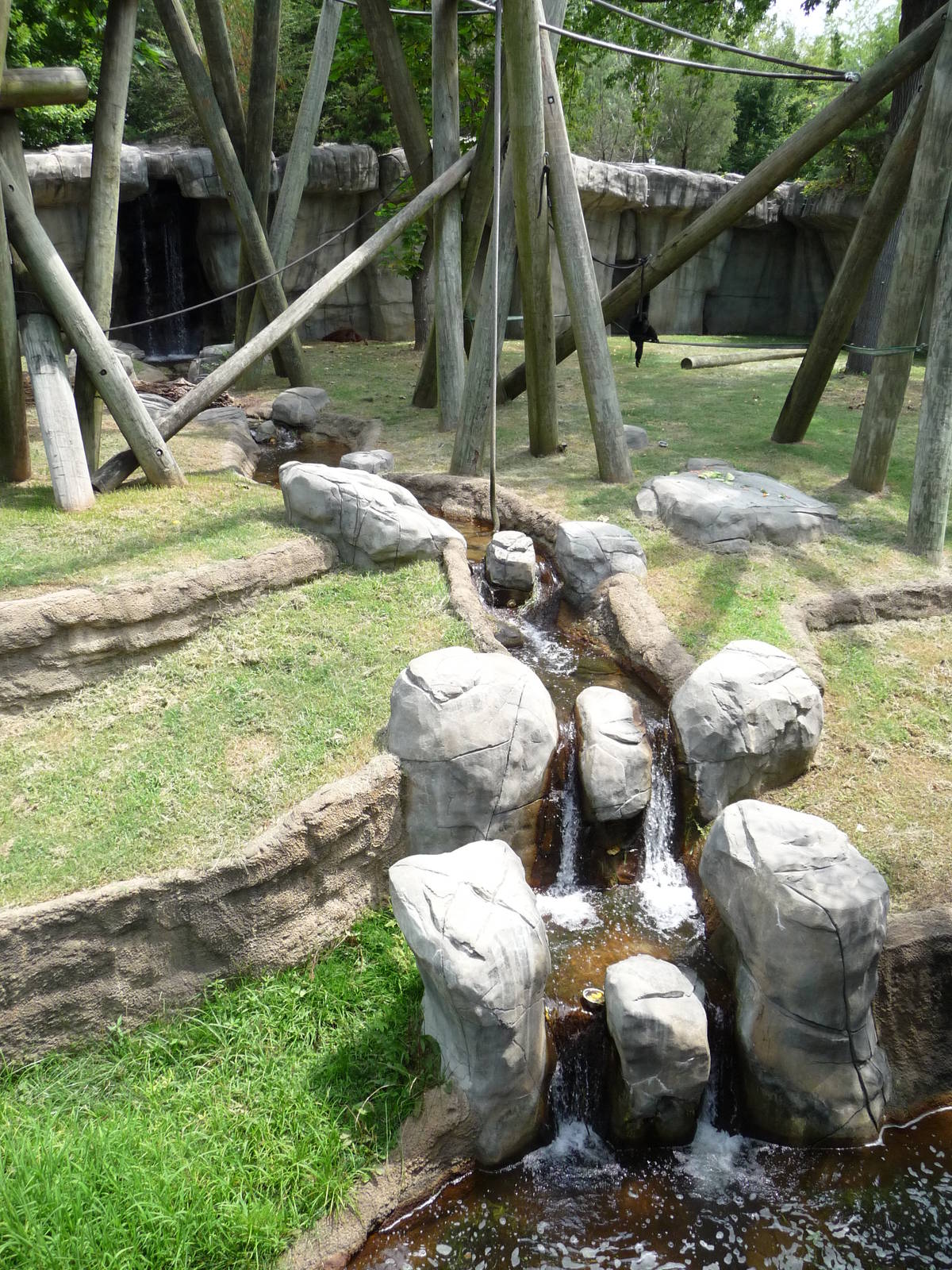 Memphis Zoo - Orangutan & Siamang Gibbon Exhibit