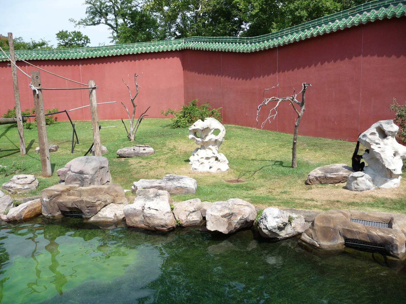 Memphis Zoo - White-cheeked Gibbon Exhibit