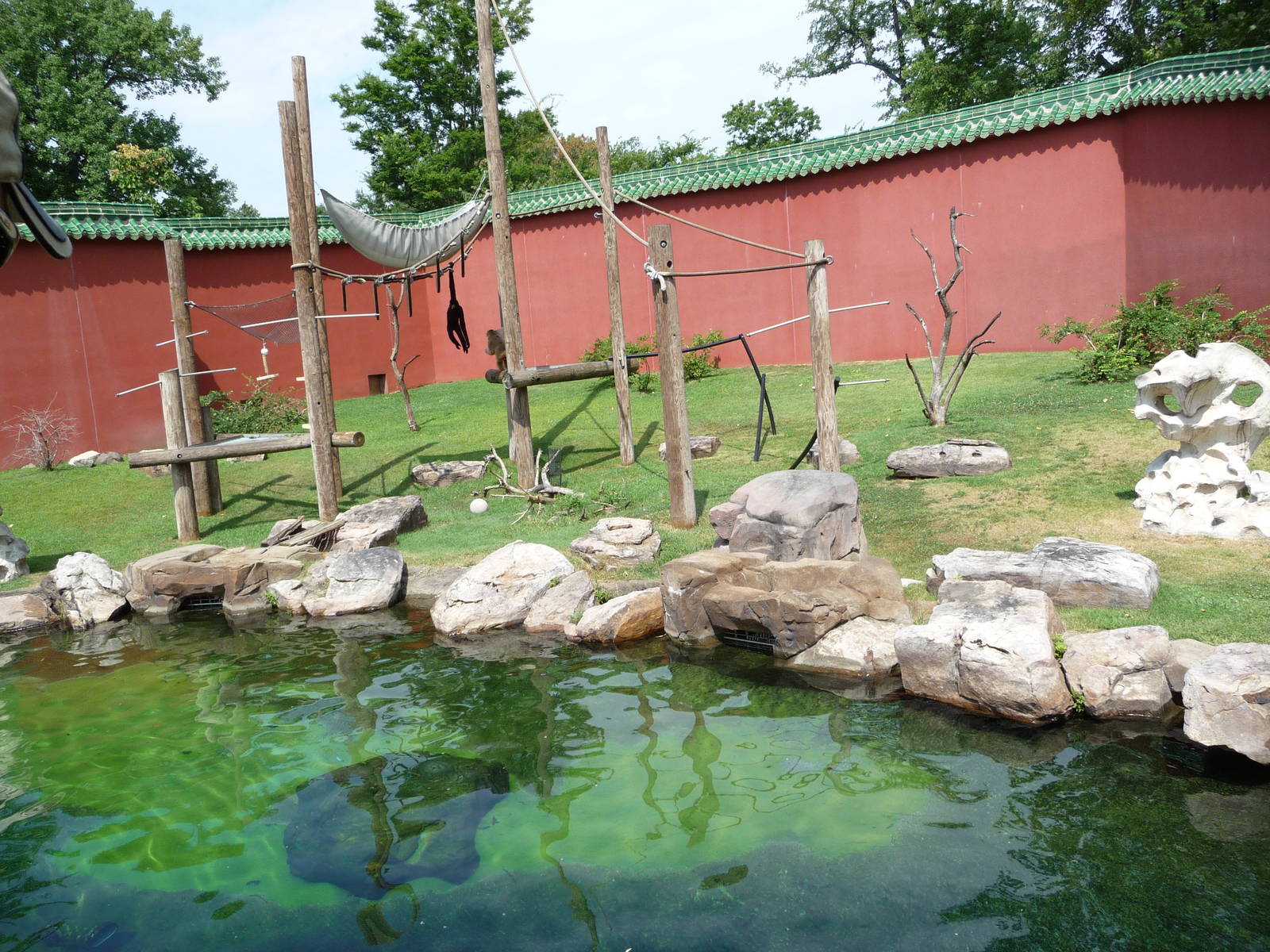 Memphis Zoo - White-cheeked Gibbon Exhibit