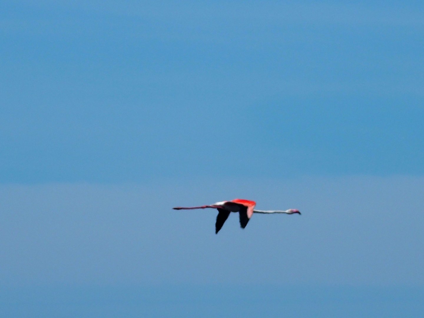 Menorca 17th may 2017