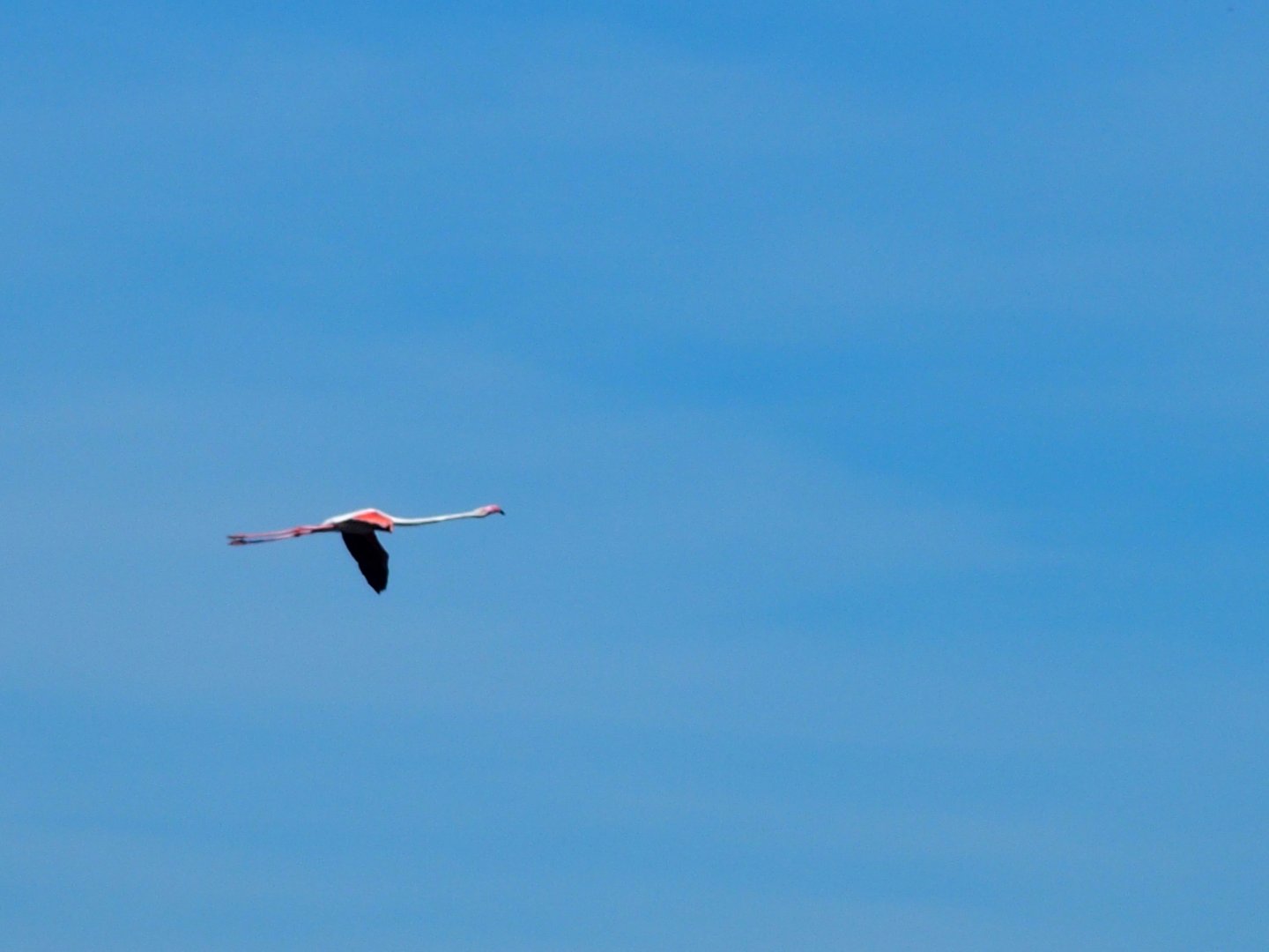 Menorca 17th may 2017