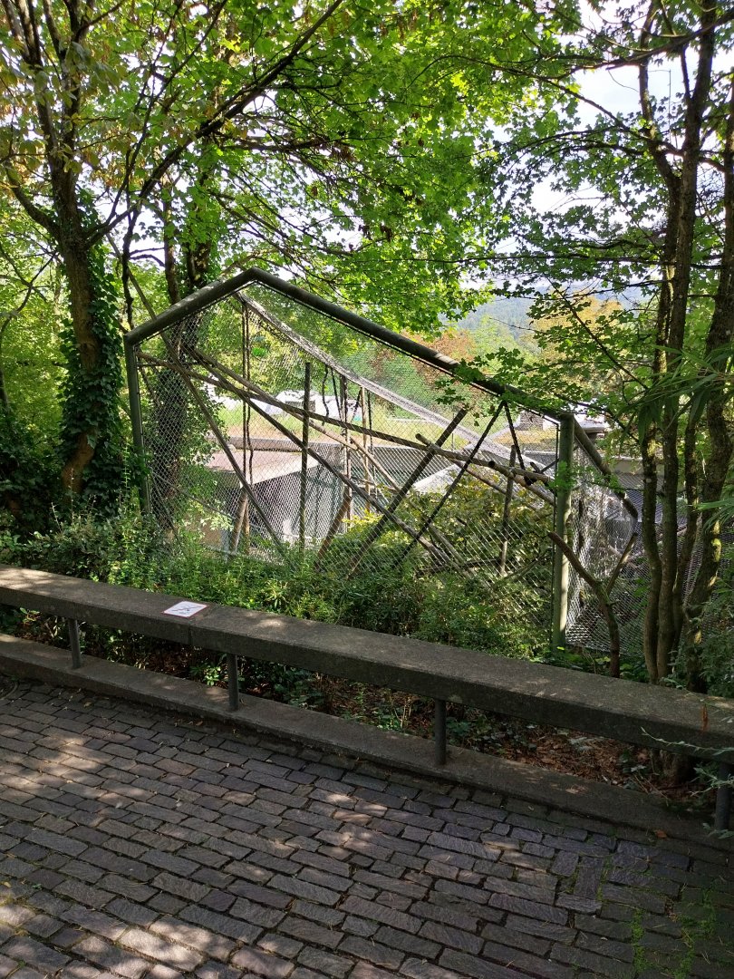 Menschenaffenhaus - Pileated gibbon enclosure