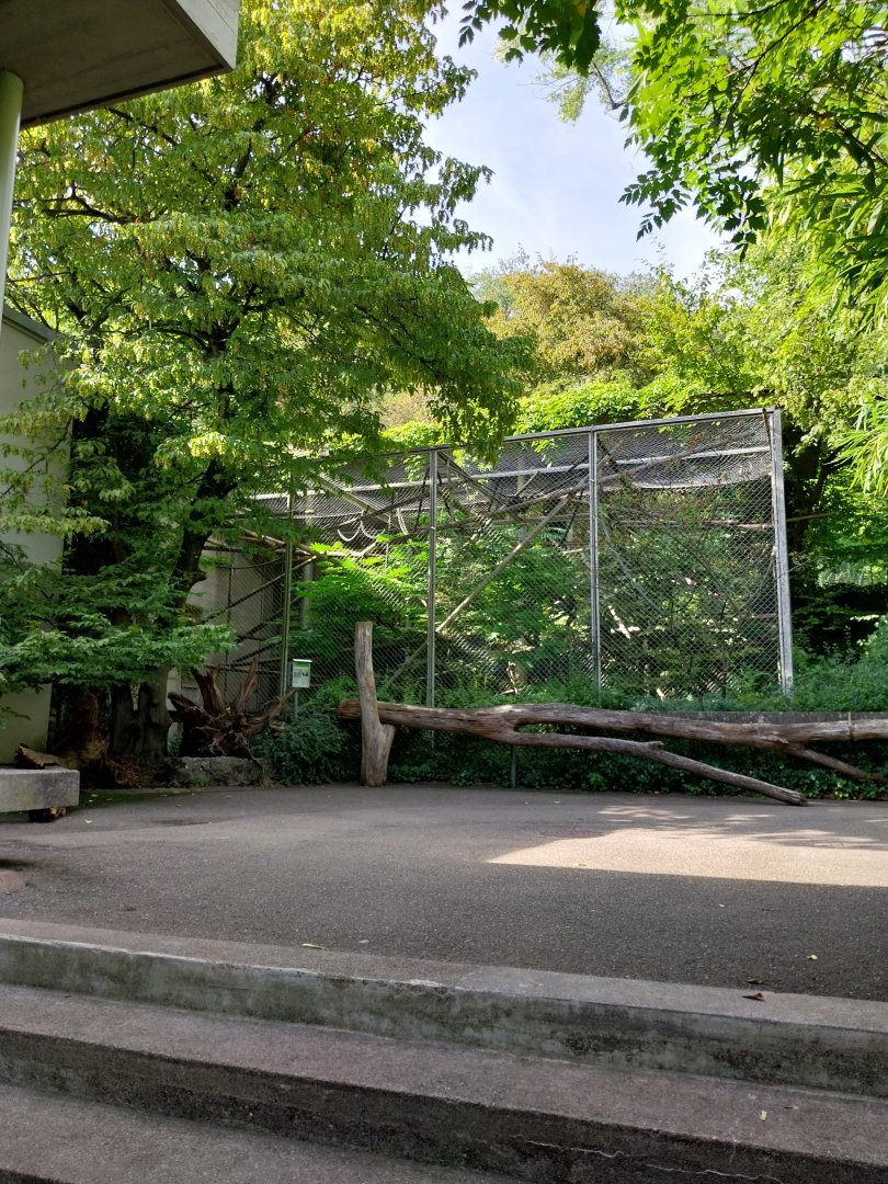 Menschenaffenhaus - Pileated gibbon enclosure