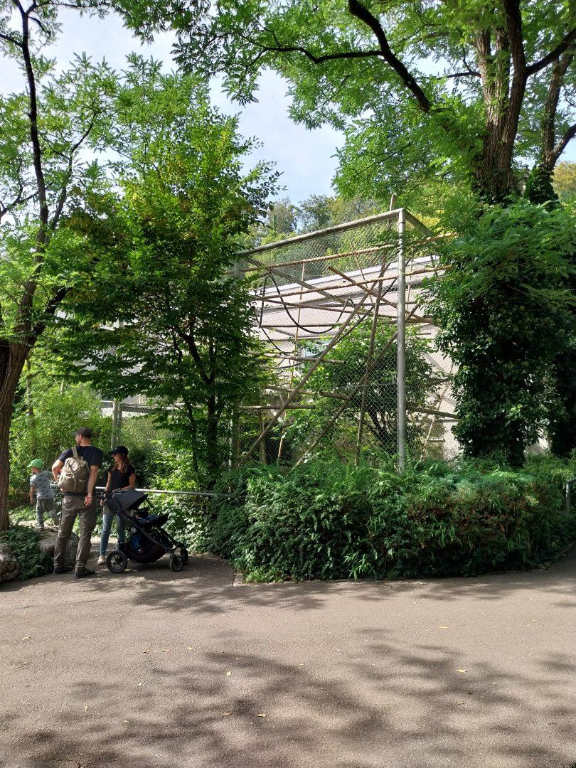 Menschenaffenhaus - Pileated gibbon enclosure