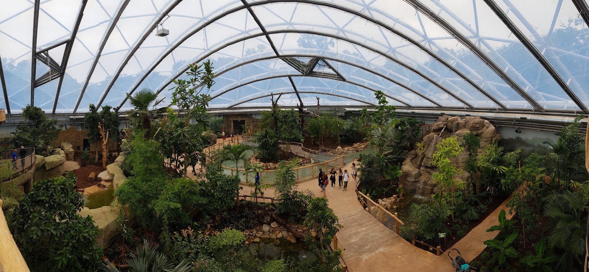 Meranti hall, overview and red lemur