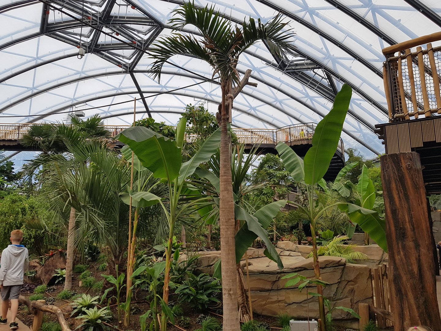 Meranti hall, overview