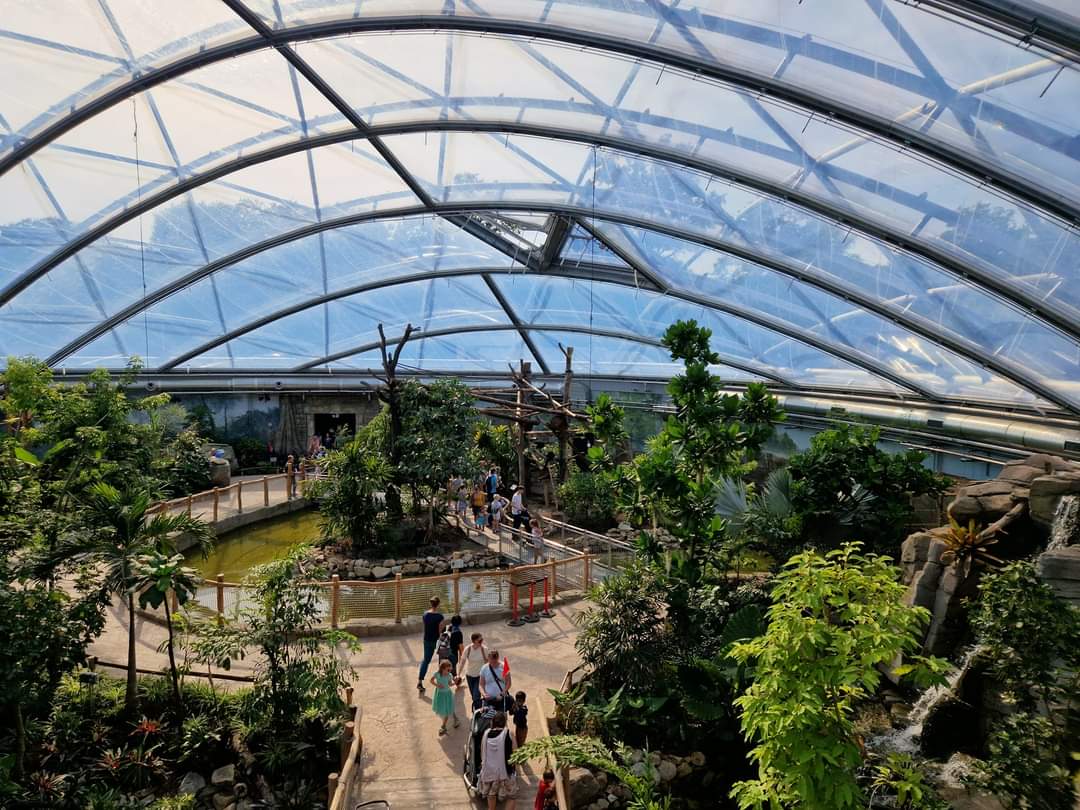 Meranti hall, view from the bridge