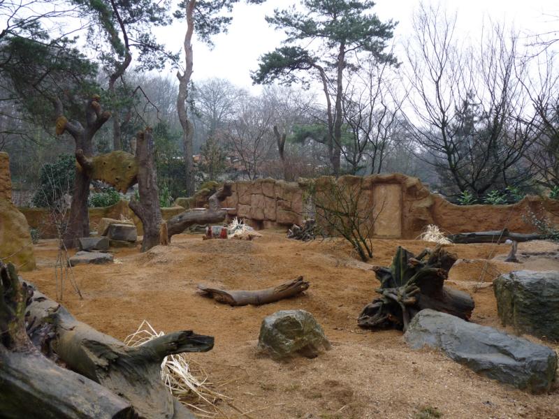 Merkat Exhibit detail