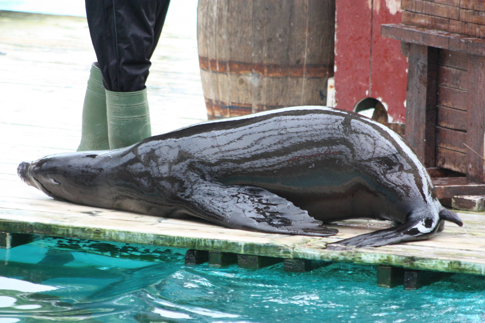 Merlin, 9th June 2014