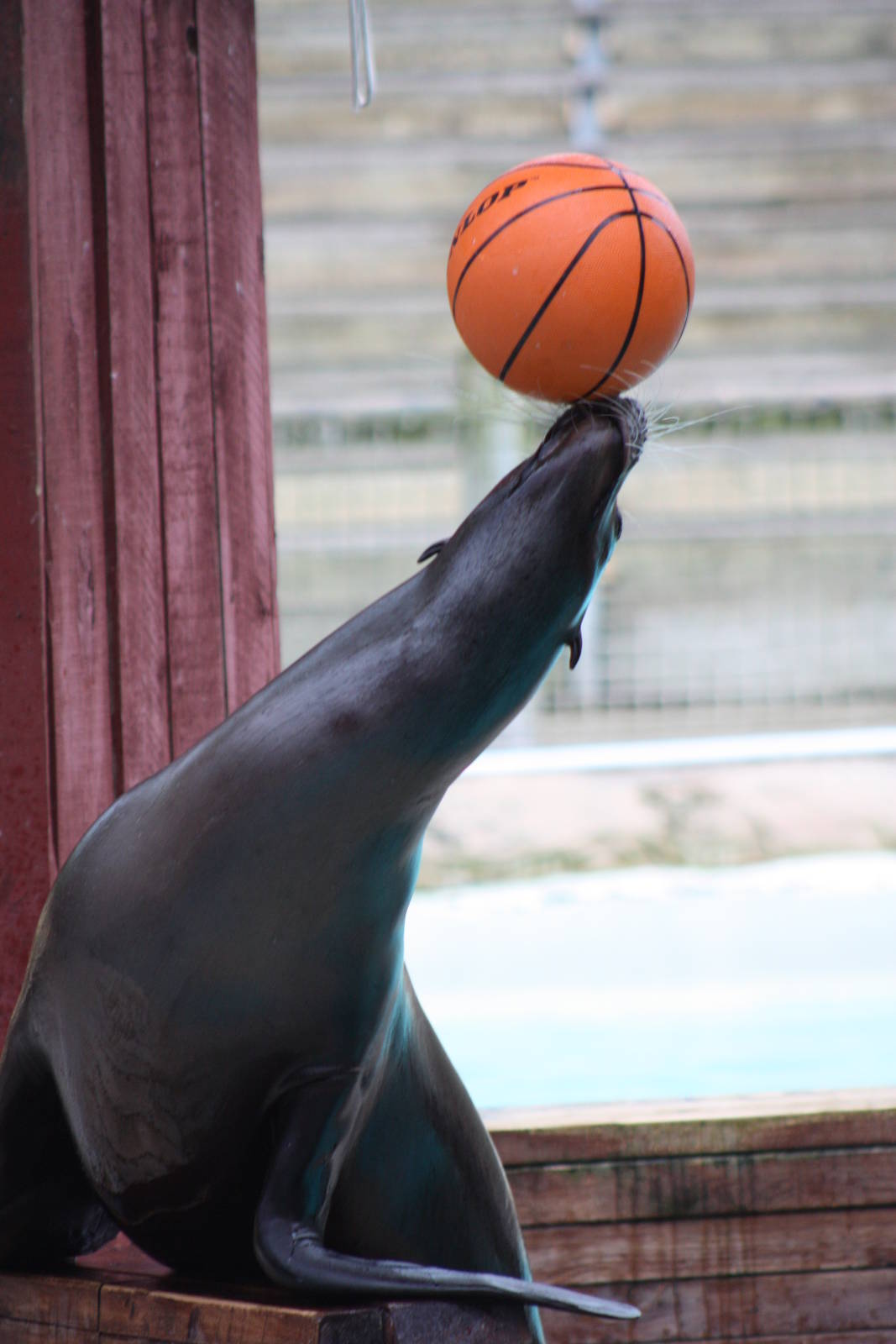 Merlin, 9th June 2014