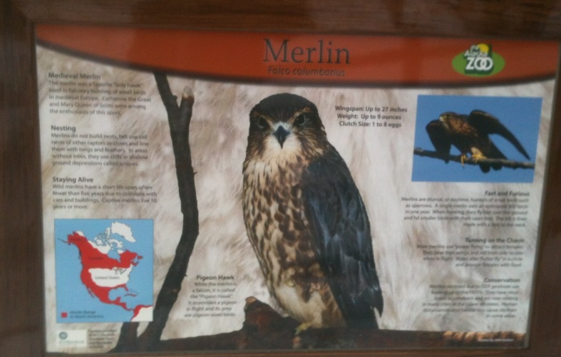 Merlin Educational Sign
