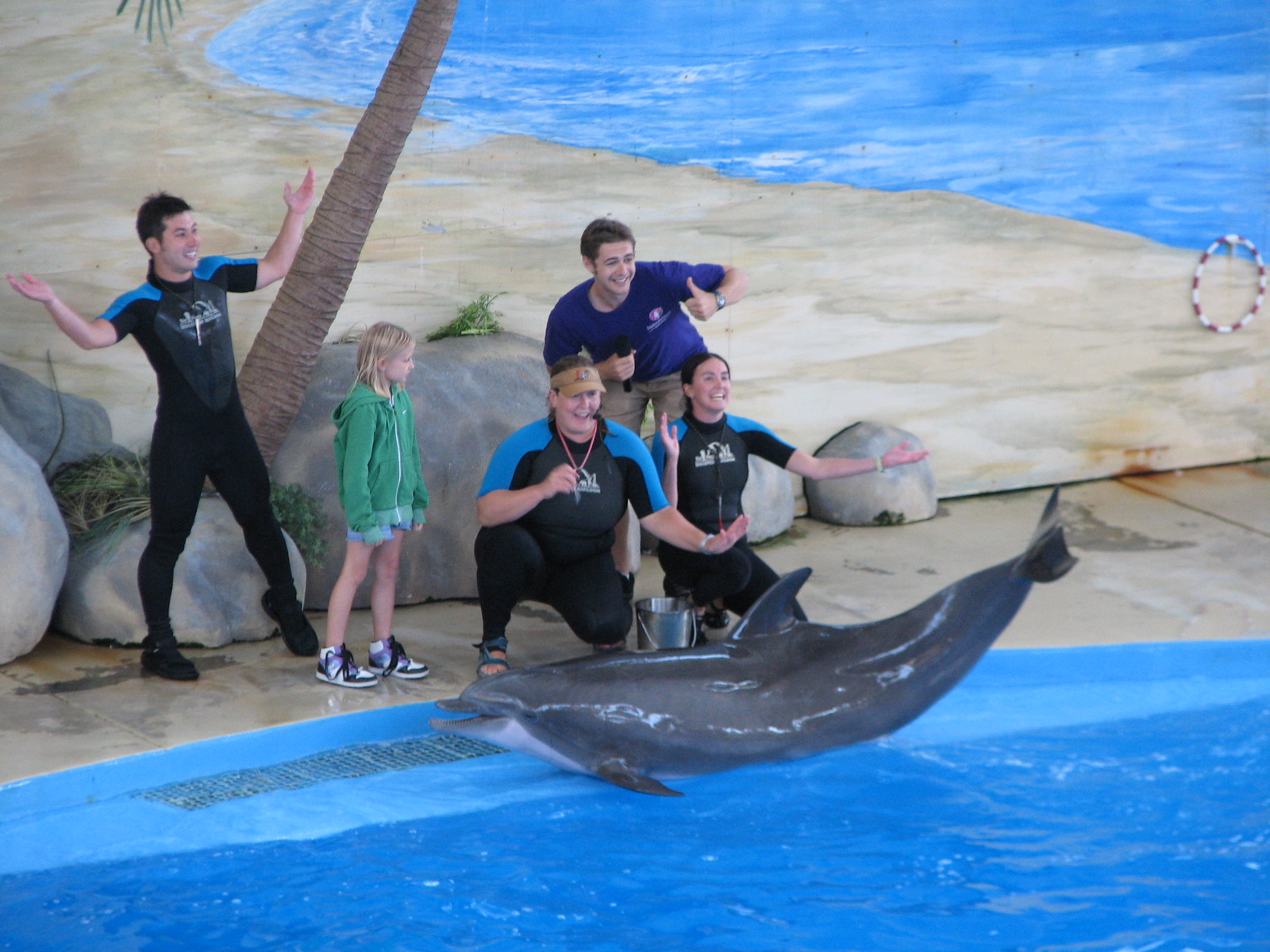 Merlins Dolphin Harbor - Bottlenose Dolphin