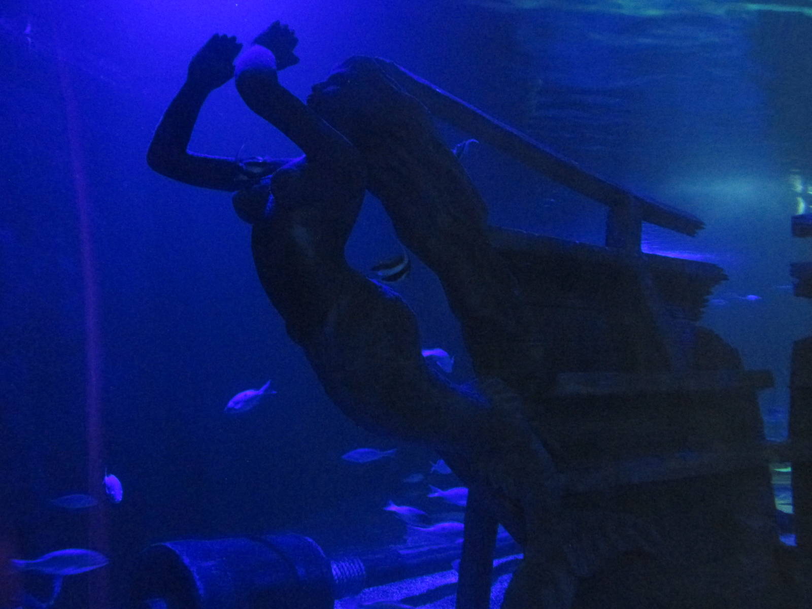 mermaid statue acuario inbursa