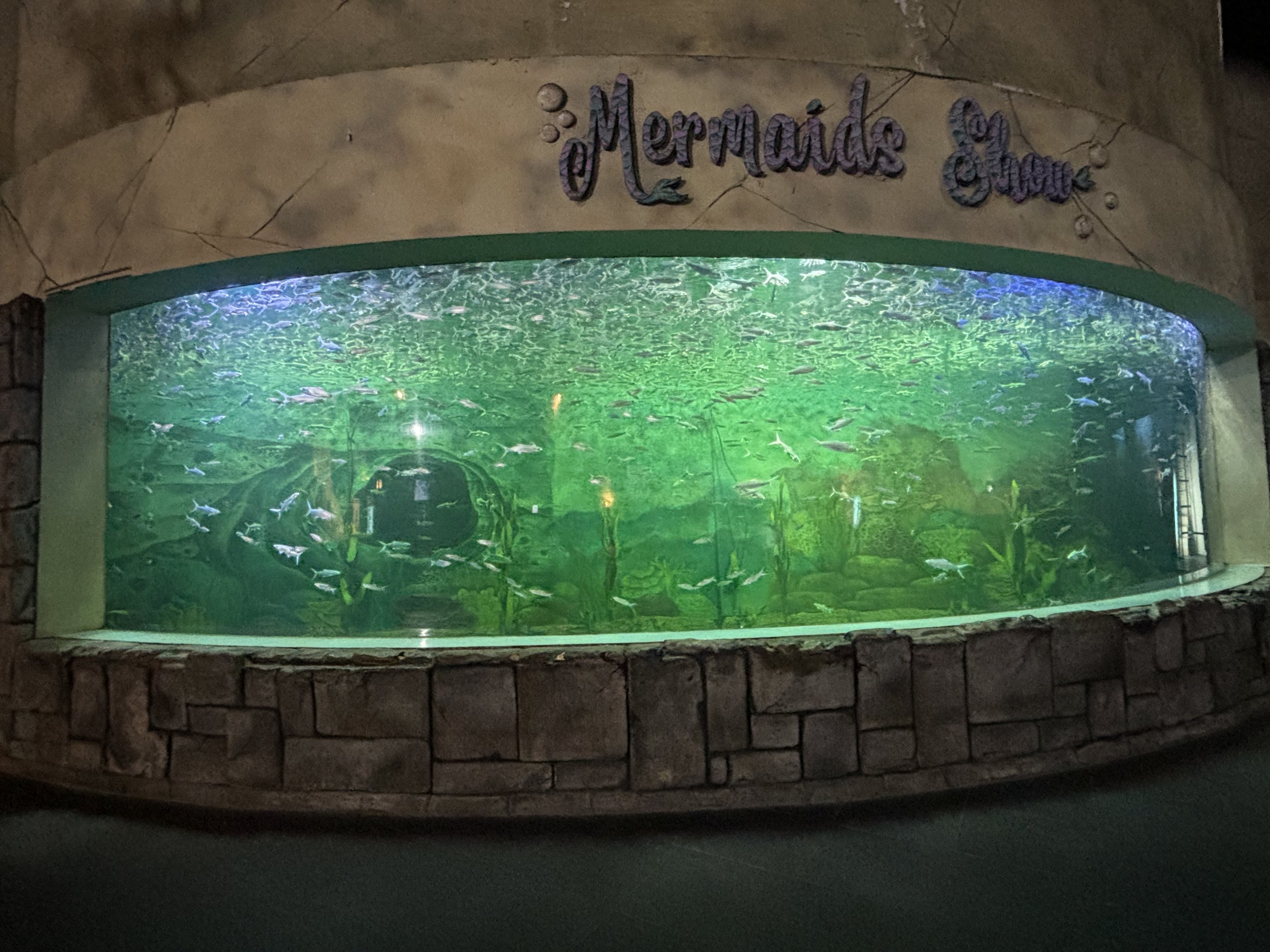 Mermaid Tank - Penguin Kingdom