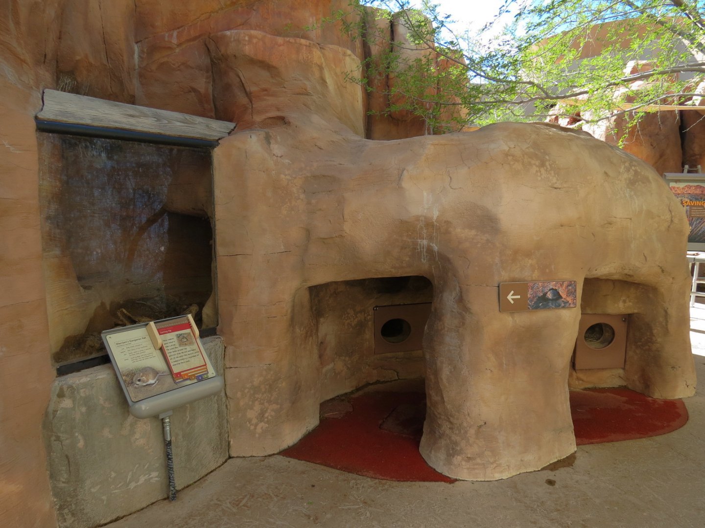 Merriam's Kangaroo Rat and Desert Tortoise Exhibits
