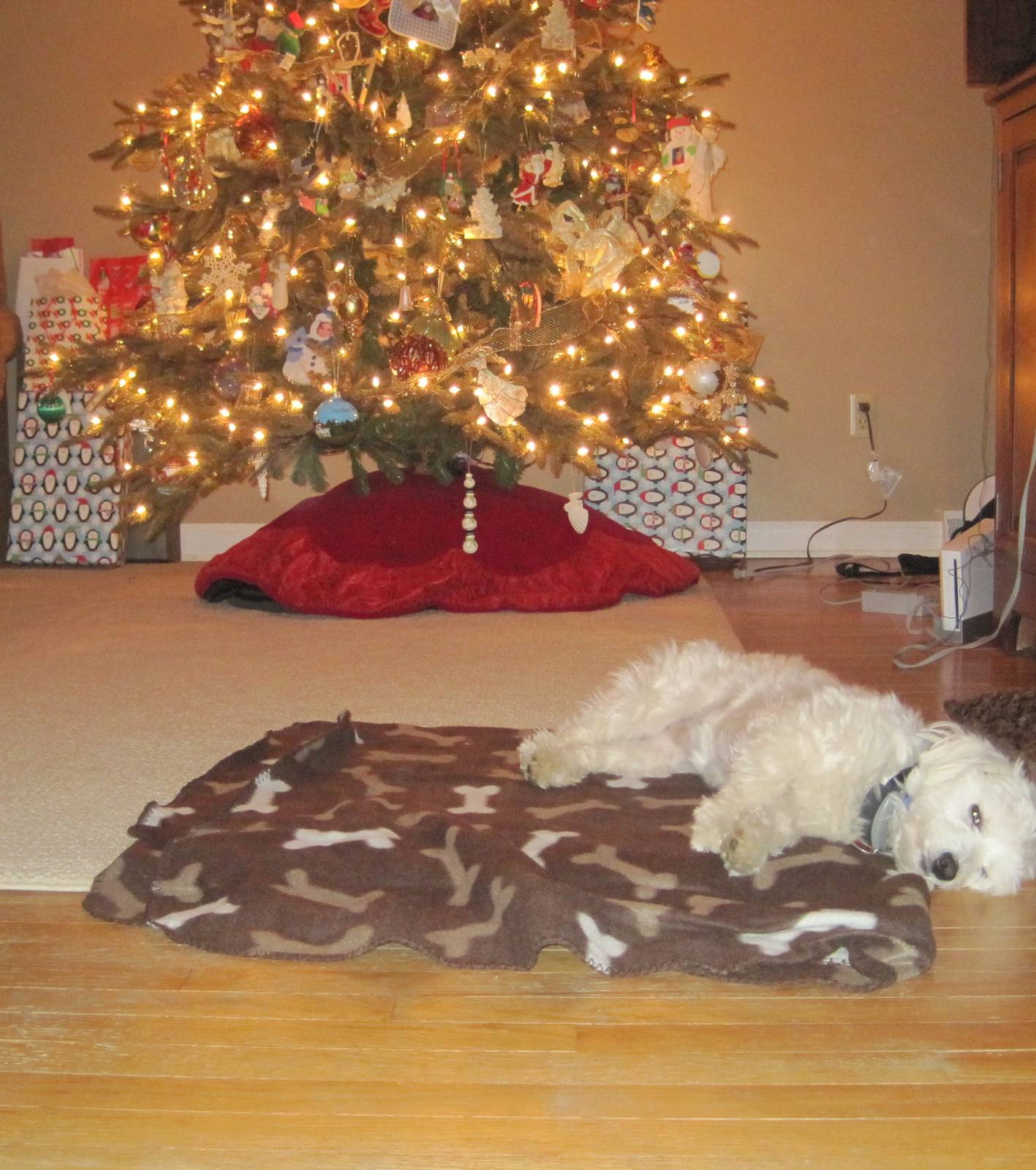 Merry Christmas To All, And To All A Good Night