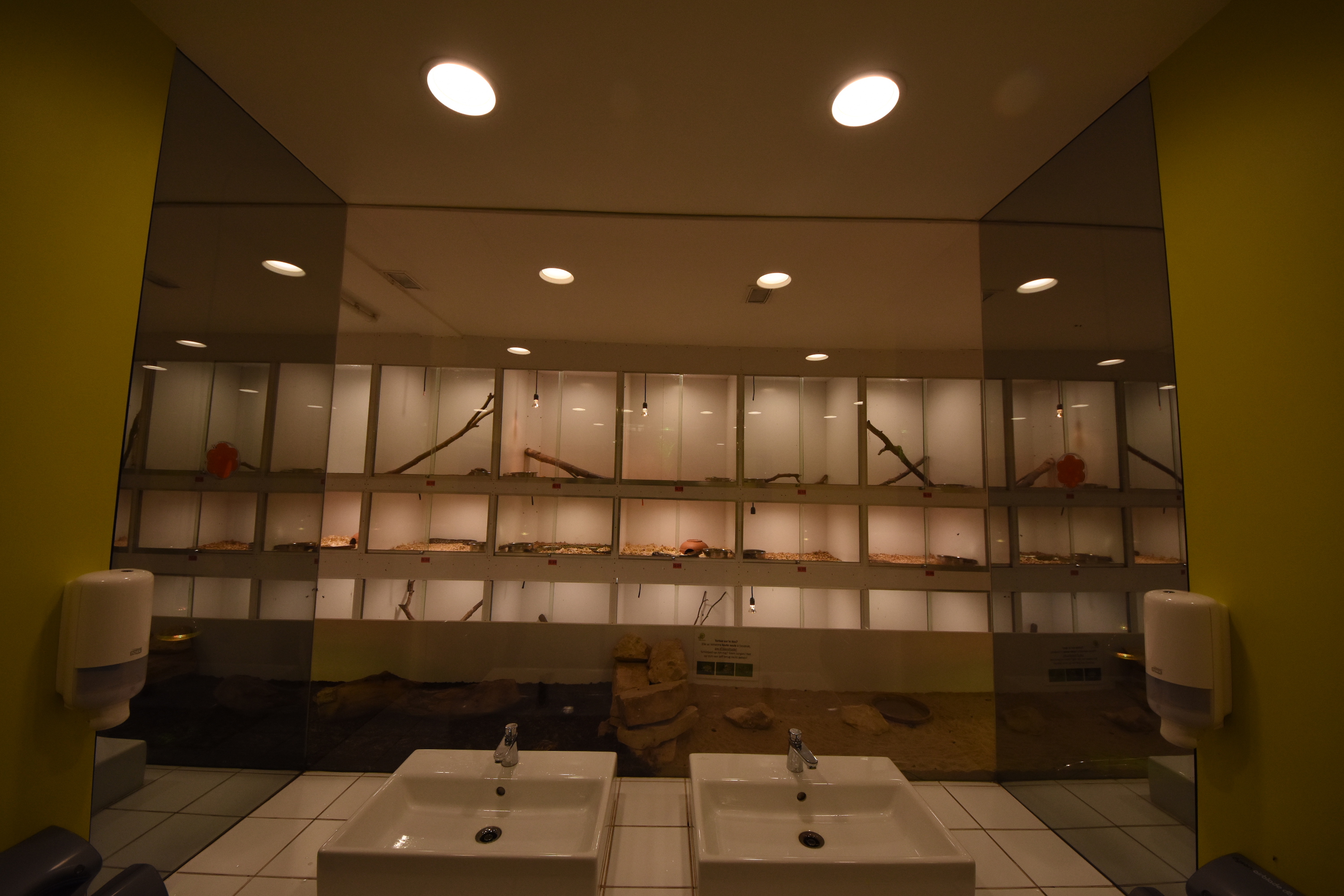 Mersus Emergo bathroom