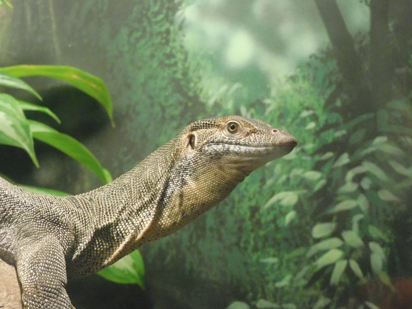 Mertans water monitor