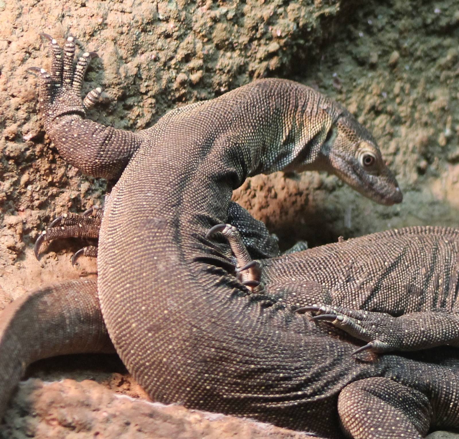 merten´s watermonitor