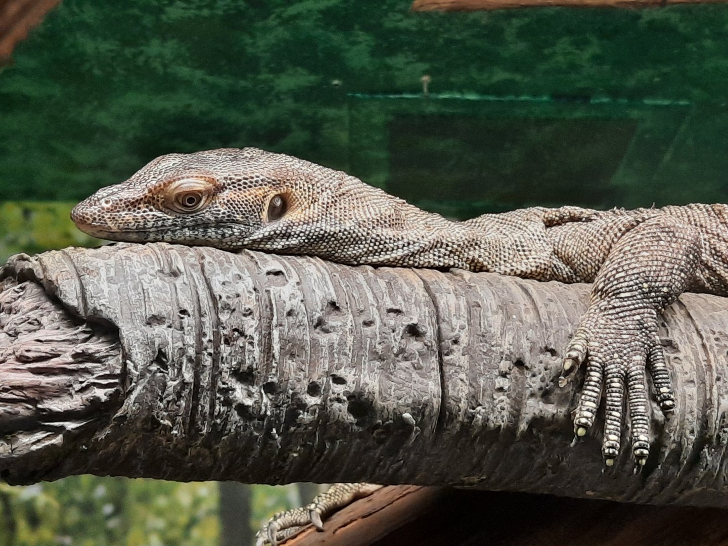 Merten Water Monitor