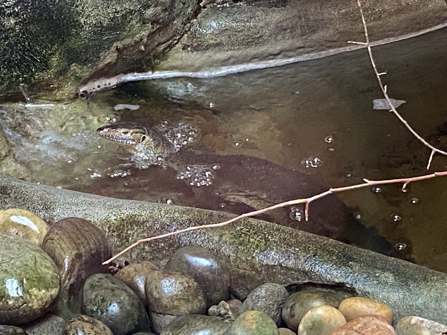 Mertens water monitor 020821